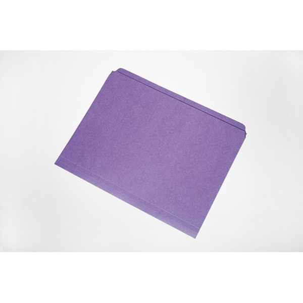 COLORED STRAIGHT CUT FILE FOLDER, 11 POI