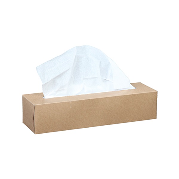 TOWEL PAPER LIGHT DUTY WHITE