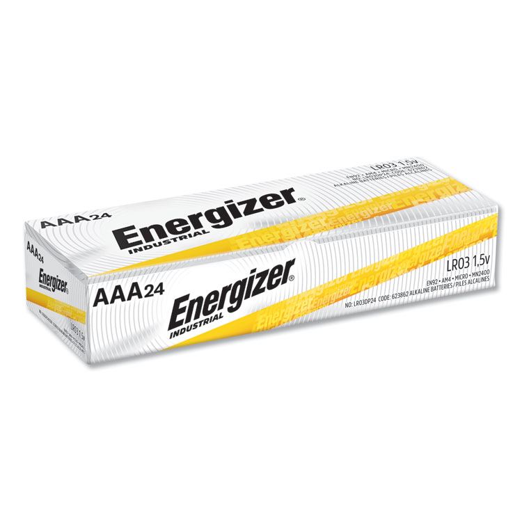 AAA Alkaline Battery, 24/BX