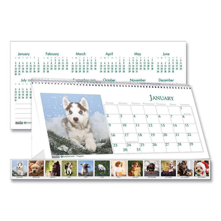 2025 Earthscapes Puppies Desk Tent Calendar