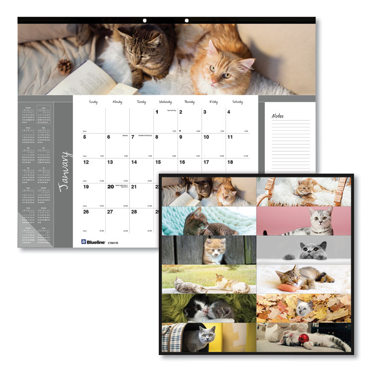 2025 Cats Pets Collection Desk Pad, 22x17
