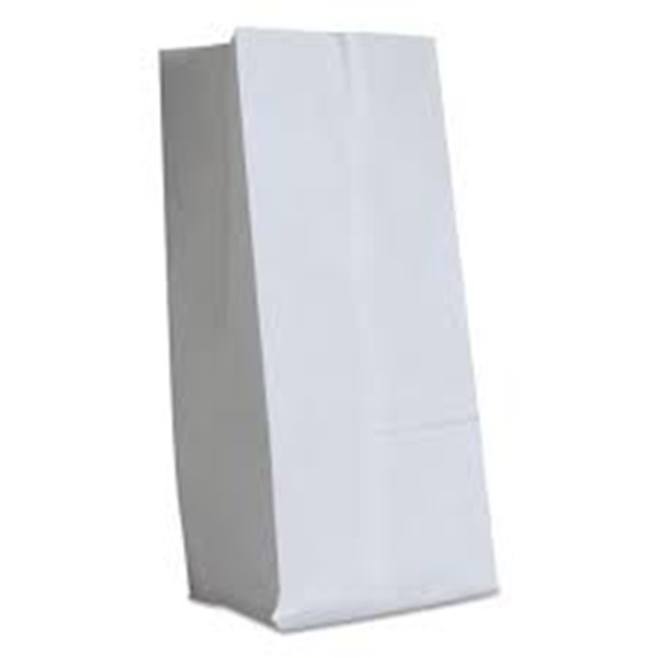 BAG,GROC,1LB,500,WH