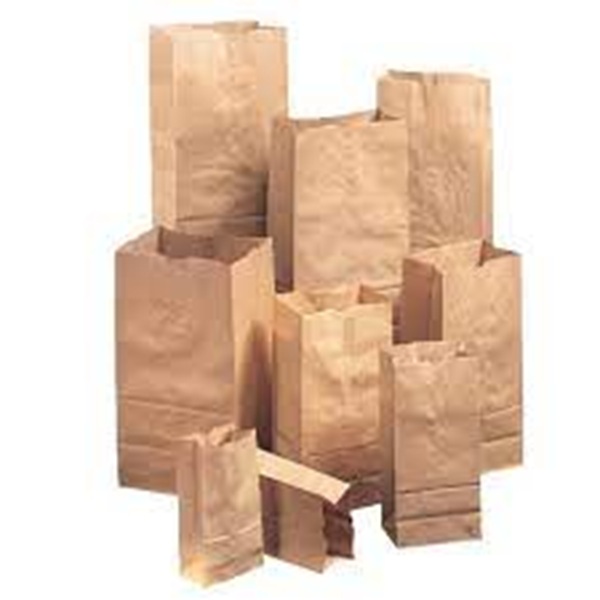 BAG,GROC,5LB,3000,WH
