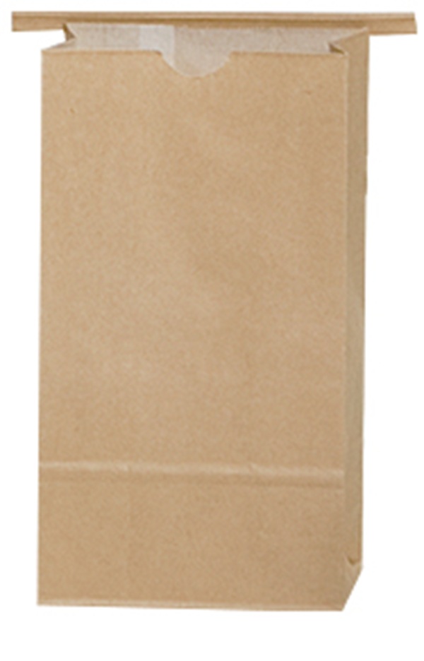 BAG,DPLX,4.25X2.5X9.75,NT