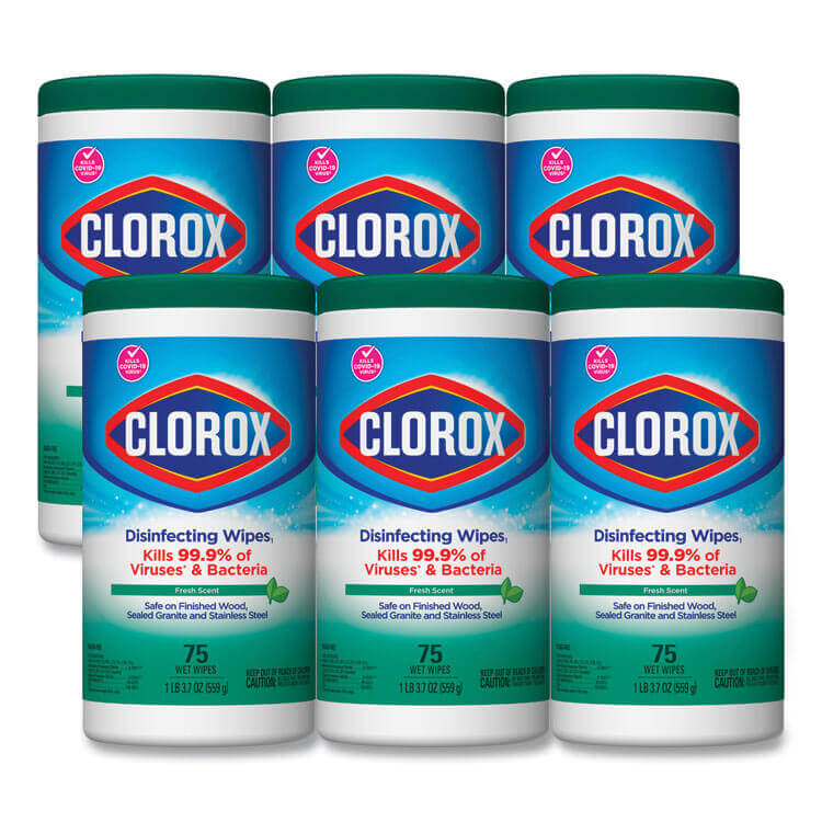 Clorox Fresh Scent Disinfecting Wipes, 6/CT