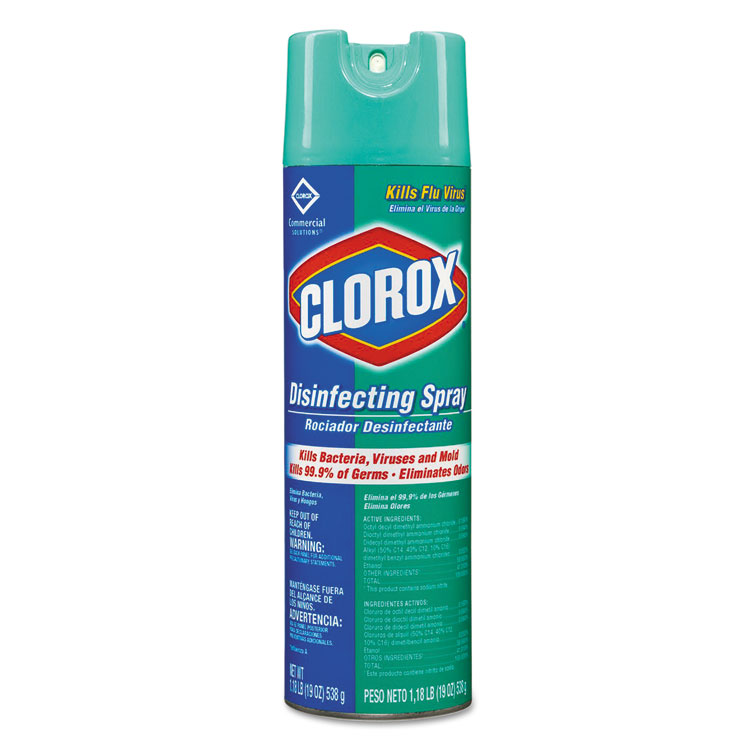 CLEANER,DSNFCTNTSPRY,19OZ