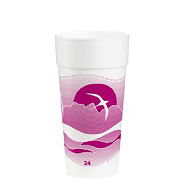 CUP,24OZ,FM,HORIZN,25/20
